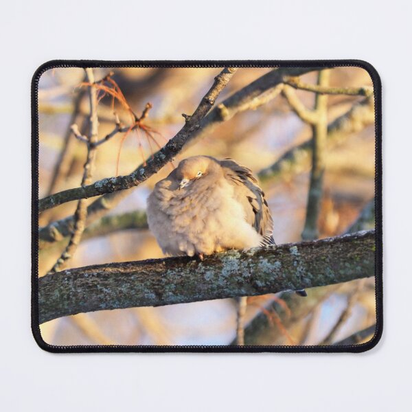 Item preview, Sleepy Mourning Dove designed and sold by BackyardBirder.