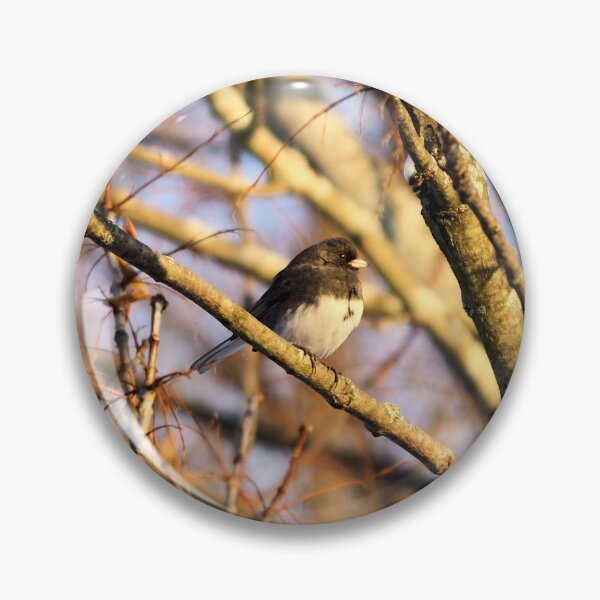 Item preview, Dark-eyed Junco Perched In a Tree designed and sold by BackyardBirder.