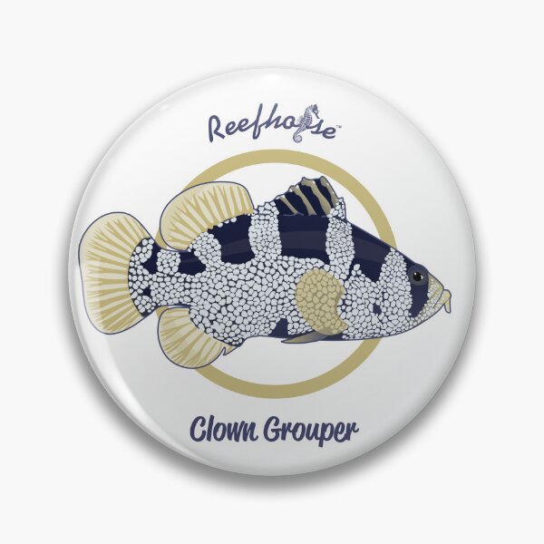 Item preview, Clown Grouper  designed and sold by KaplanCrypto.