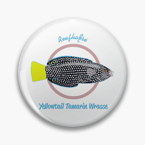 Item preview, Yellowtail Tamarin Wrasse designed and sold by KaplanCrypto.