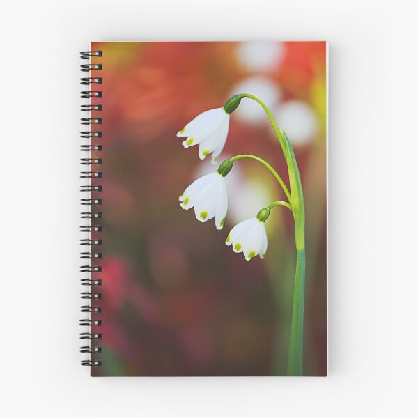Item preview, Snowdrop Flowers Of Spring  designed and sold by Joy Watson - Natural Light Photography .