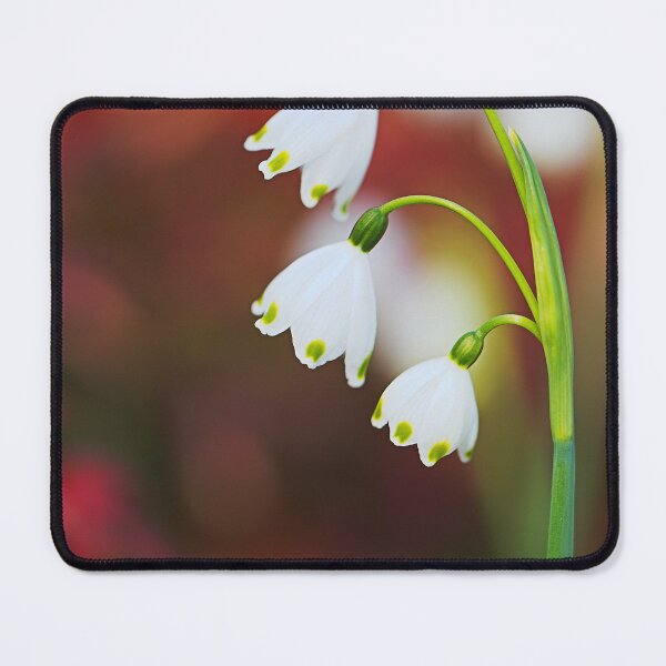 Item preview, Snowdrop Flowers Of Spring  designed and sold by Joy Watson - Natural Light Photography .