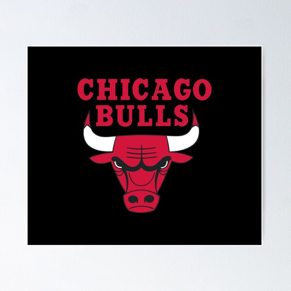 COLAR SWAG CHICAGO BULLS WINDY CITY