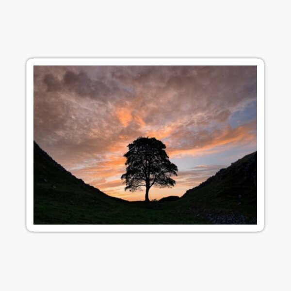 Item preview, Sycamore gap designed and sold by Amorartz.