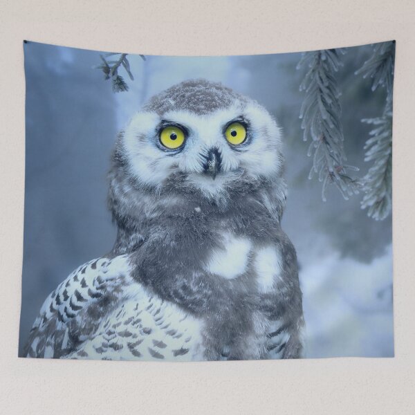 Item preview, Owl designed and sold by Johnovarte.