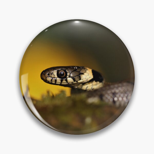 Item preview, Grass snake designed and sold by Christian Moss.