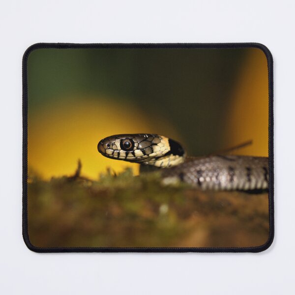 Item preview, Grass snake designed and sold by Christian Moss.
