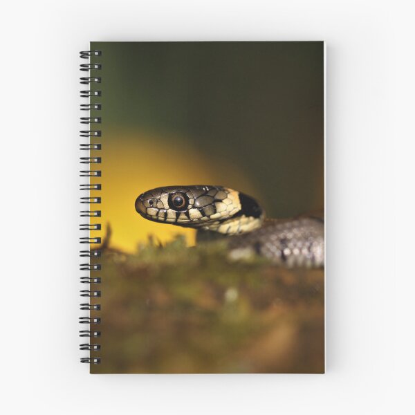 Item preview, Grass snake designed and sold by Christian Moss.