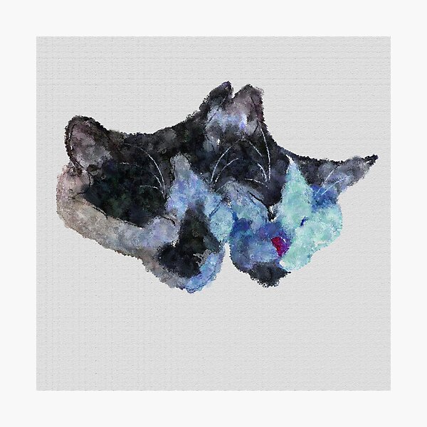 Sleepy Cat Friends Photographic Print