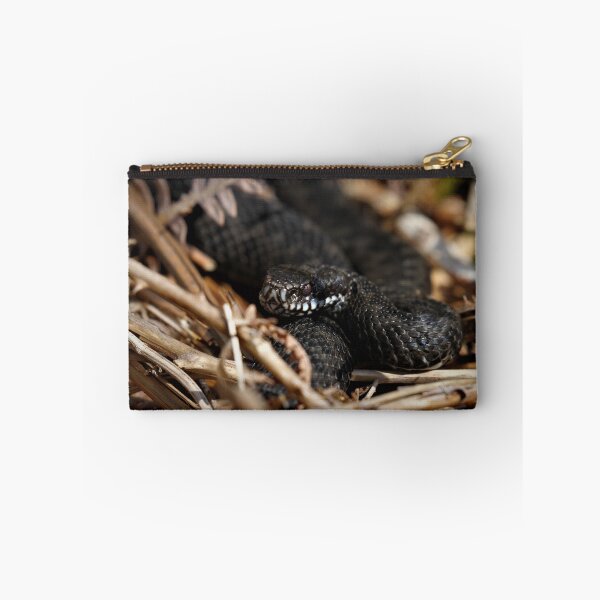 Item preview, Black adder - Melanistic Vipera berus  designed and sold by Christian Moss.