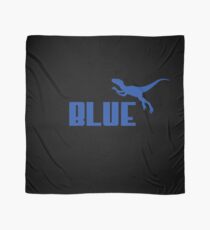 Blue Scarf