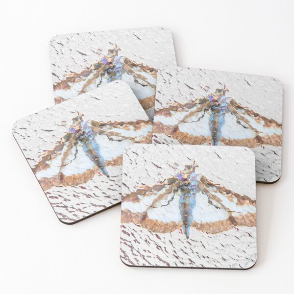 Item preview, Moth designed and sold by Dave Hare Photography.