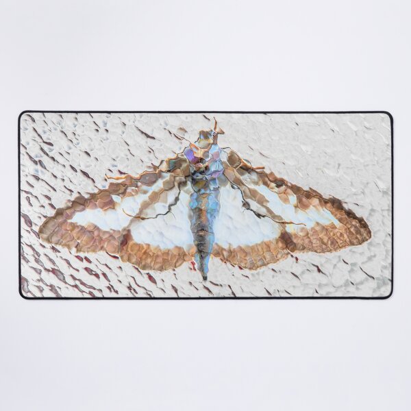 Item preview, Moth designed and sold by Dave Hare Photography.