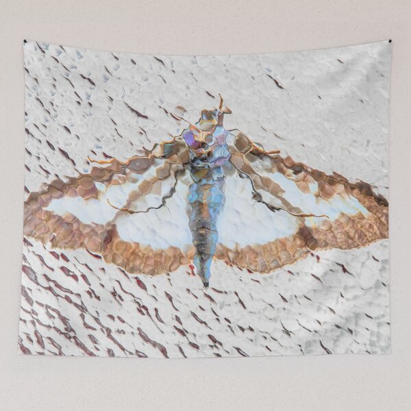 Item preview, Moth designed and sold by Dave Hare Photography.