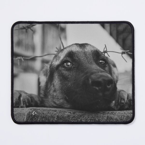 Item preview, Sad german shepherd dog behind barbed wire fence designed and sold by stevanovicigor.