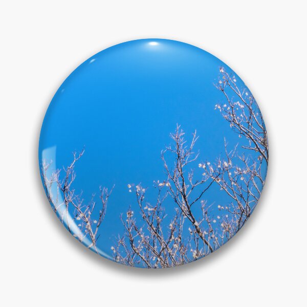 Item preview, Dried pot of deciduous tree in the autumn season designed and sold by Satakorn.