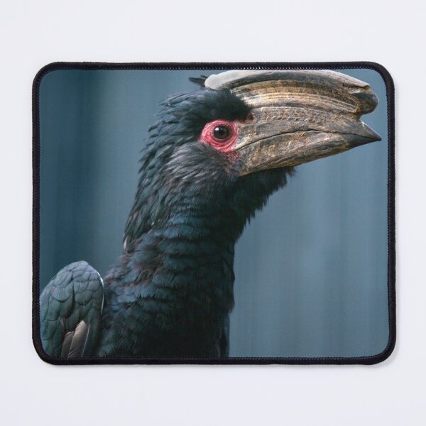 Item preview, Speak to the Beak designed and sold by Krys Bailey.