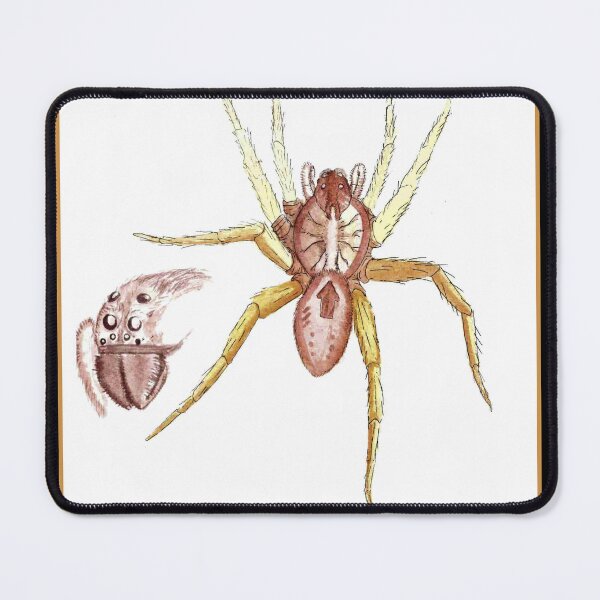 Item preview, Hogna Carolinensis designed and sold by Robert Landon Price.