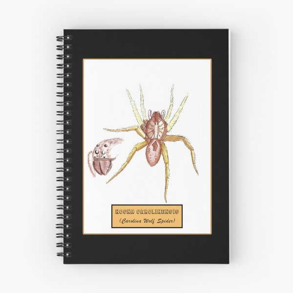 Item preview, Hogna Carolinensis designed and sold by Robert Landon Price.