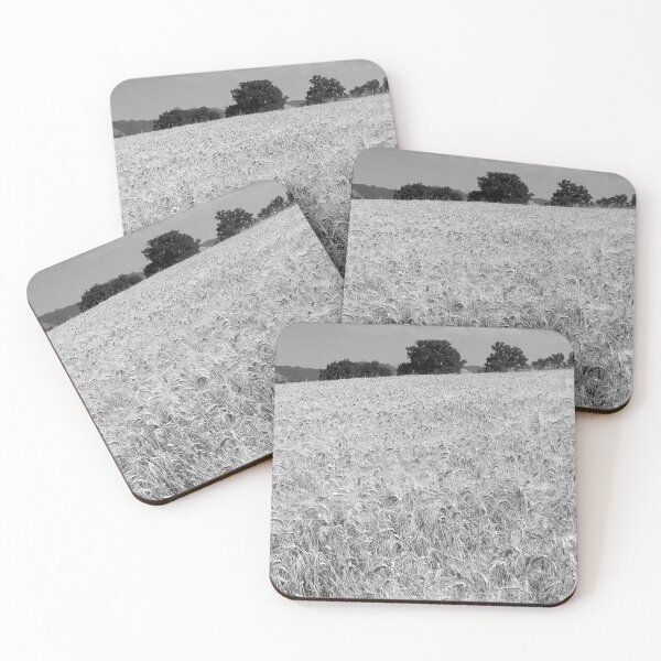 Item preview, 2009 Terra di Molise, campo di grano designed and sold by robertoferrero.