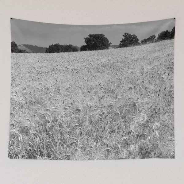 Item preview, 2009 Terra di Molise, campo di grano designed and sold by robertoferrero.