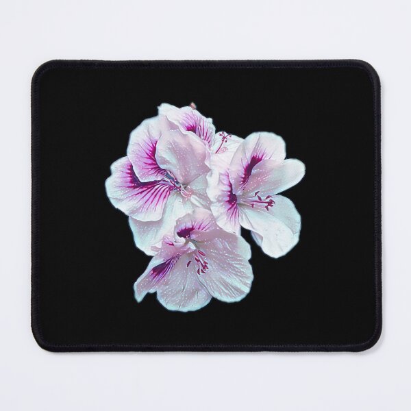 Item preview, Retro blooms 3 designed and sold by FlossOrFi.