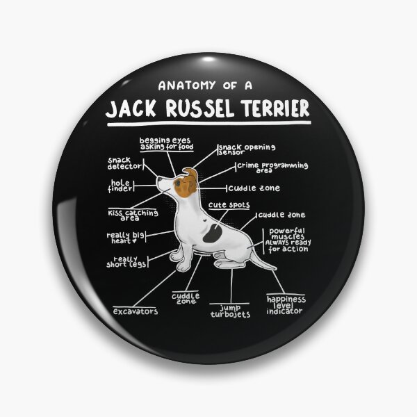 Item preview, Anatomy of a Jack Russel Terrier designed and sold by alies-art.