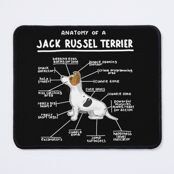 Item preview, Anatomy of a Jack Russel Terrier designed and sold by alies-art.