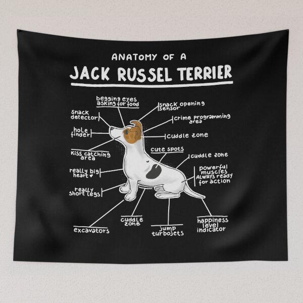 Item preview, Anatomy of a Jack Russel Terrier designed and sold by alies-art.