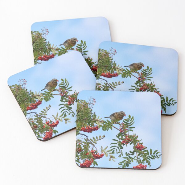 Item preview, Loving the rowan berries. Fieldfare designed and sold by Jouko Lehto Photography.