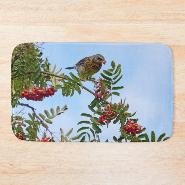 Item preview, Loving the rowan berries. Fieldfare designed and sold by Jouko Lehto Photography.