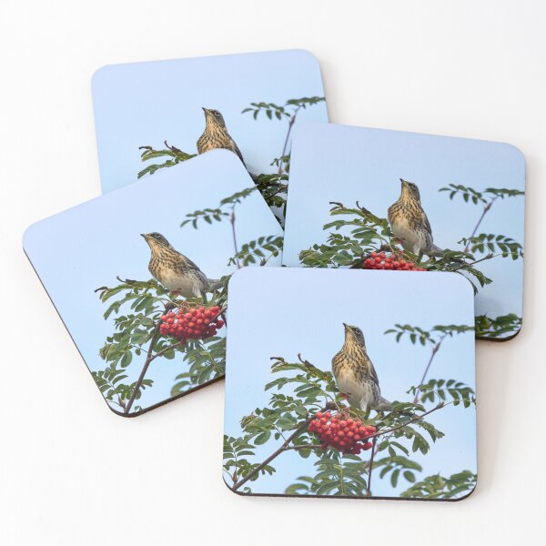 Item preview, Bold pose. Fieldfare designed and sold by Jouko Lehto Photography.