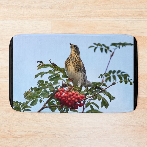 Item preview, Bold pose. Fieldfare designed and sold by Jouko Lehto Photography.