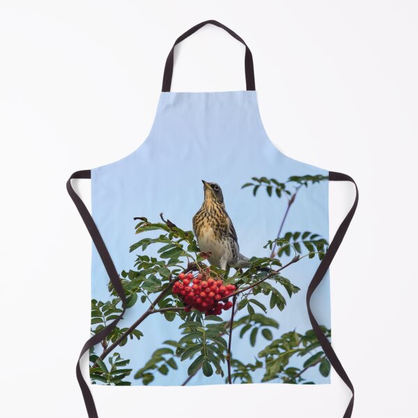 Item preview, Bold pose. Fieldfare designed and sold by Jouko Lehto Photography.