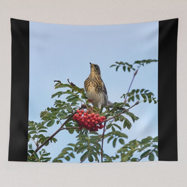 Item preview, Bold pose. Fieldfare designed and sold by Jouko Lehto Photography.