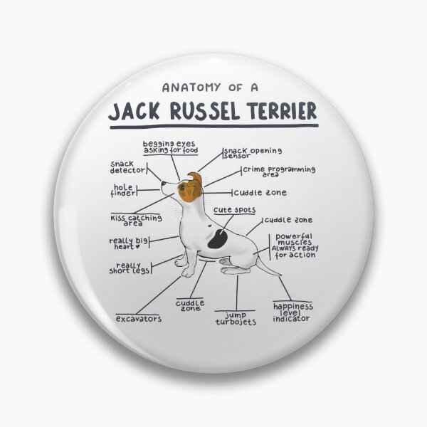 Item preview, Anatomy of a Jack Russel Terrier designed and sold by alies-art.