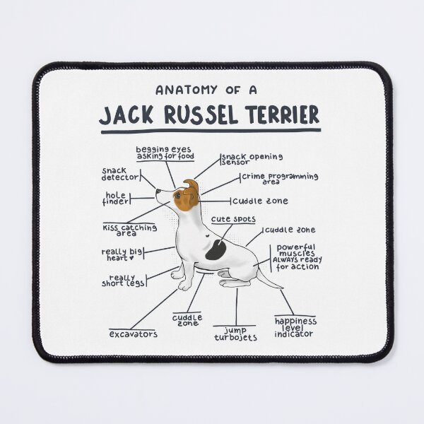 Item preview, Anatomy of a Jack Russel Terrier designed and sold by alies-art.
