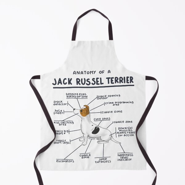 Item preview, Anatomy of a Jack Russel Terrier designed and sold by alies-art.