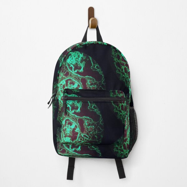 Item preview, Immunofluorescent glomeruli, kidney histology designed and sold by Psymier.