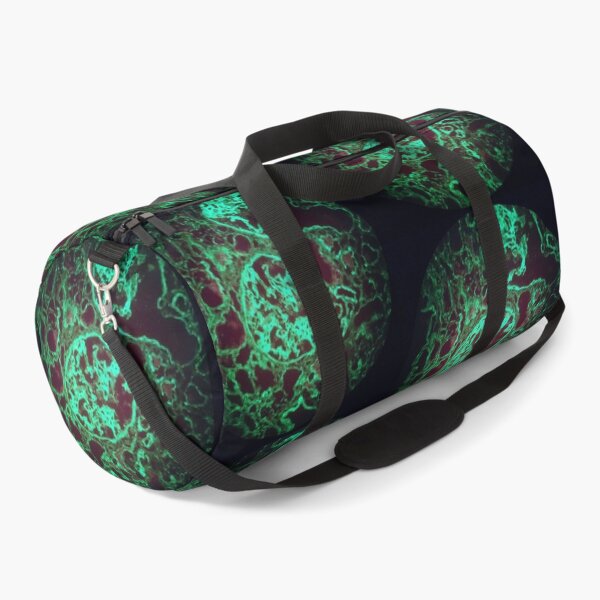 Item preview, Immunofluorescent glomeruli, kidney histology designed and sold by Psymier.