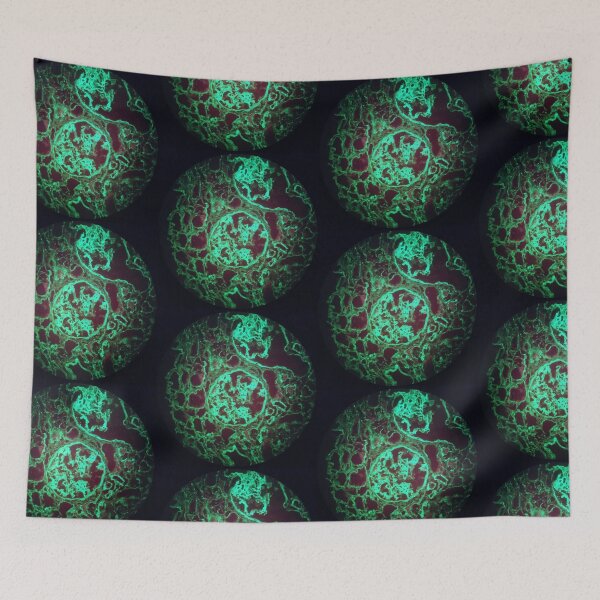 Item preview, Immunofluorescent glomeruli, kidney histology designed and sold by Psymier.