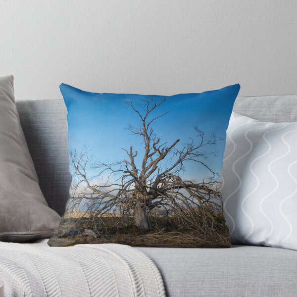 Item preview, Dead Trees, Central Highlands, Tasmania designed and sold by Chris Cobern.