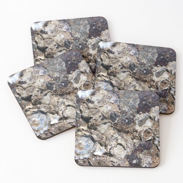 Item preview, Macro Oyster Shell Cluster On The Beach designed and sold by Kerryn Madsen-Pietsch.