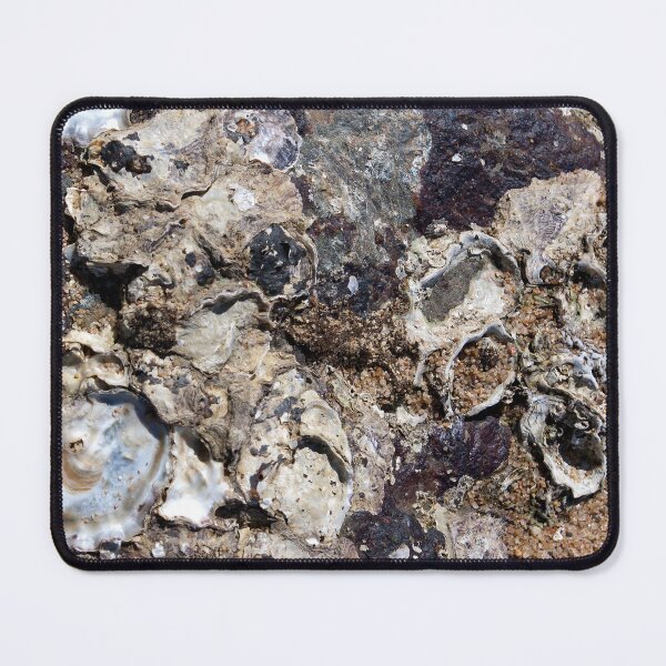 Item preview, Macro Oyster Shell Cluster On The Beach designed and sold by Kerryn Madsen-Pietsch.