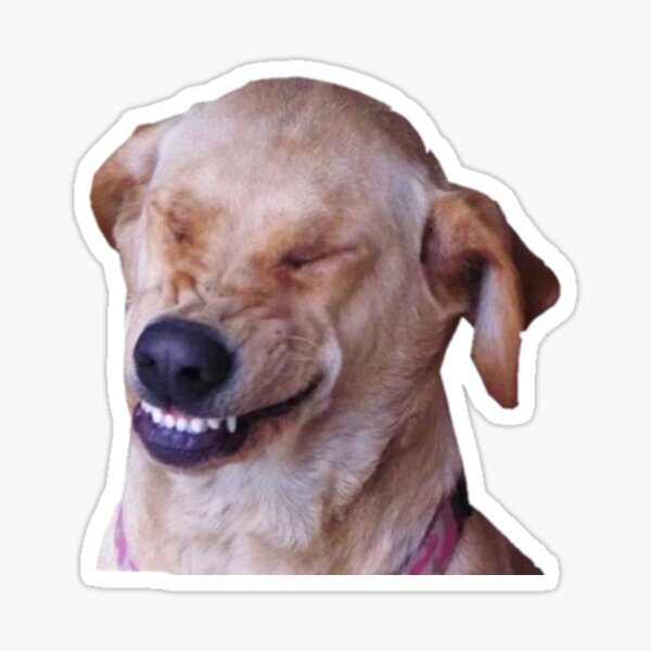 Item preview, Funny dog designed and sold by funny   artist.