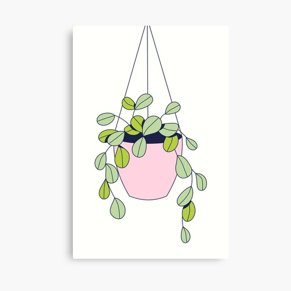 Item preview, Hanging plant designed and sold by Thedigital91.