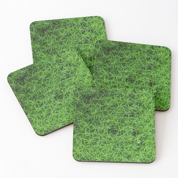 Item preview, Moss - forest green soft nature environment designed and sold by shamrock-illus.