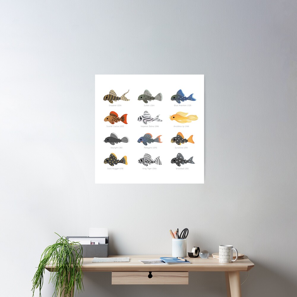 Pleco! Poster