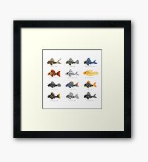 Pleco! Framed Print