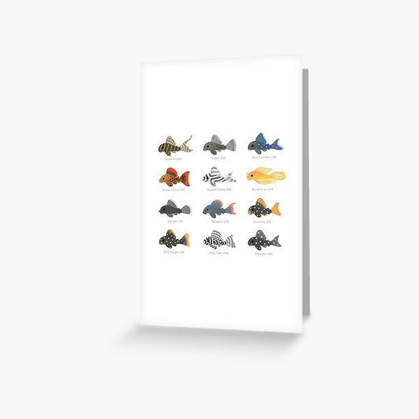 Pleco! Greeting Card